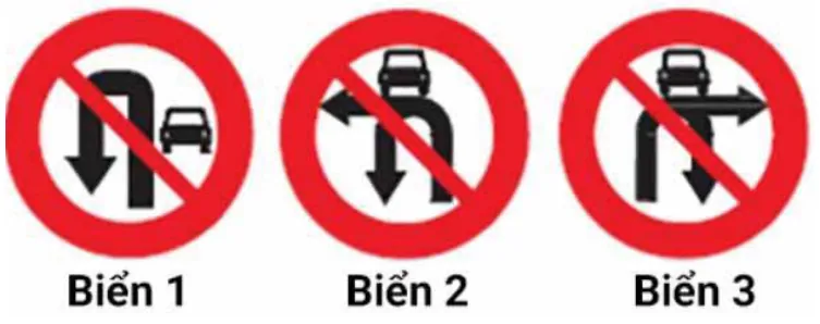 Hình câu 319