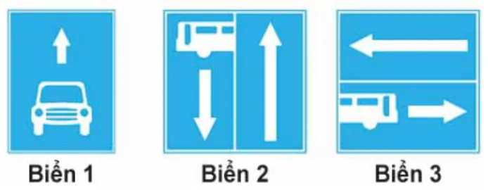 Hình câu 447