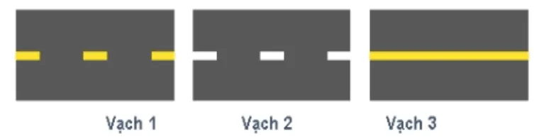 Hình câu 479